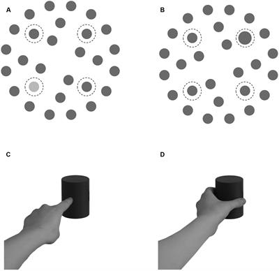 How You Move Is What I See: Planning an Action Biases a Partner’s Visual Search